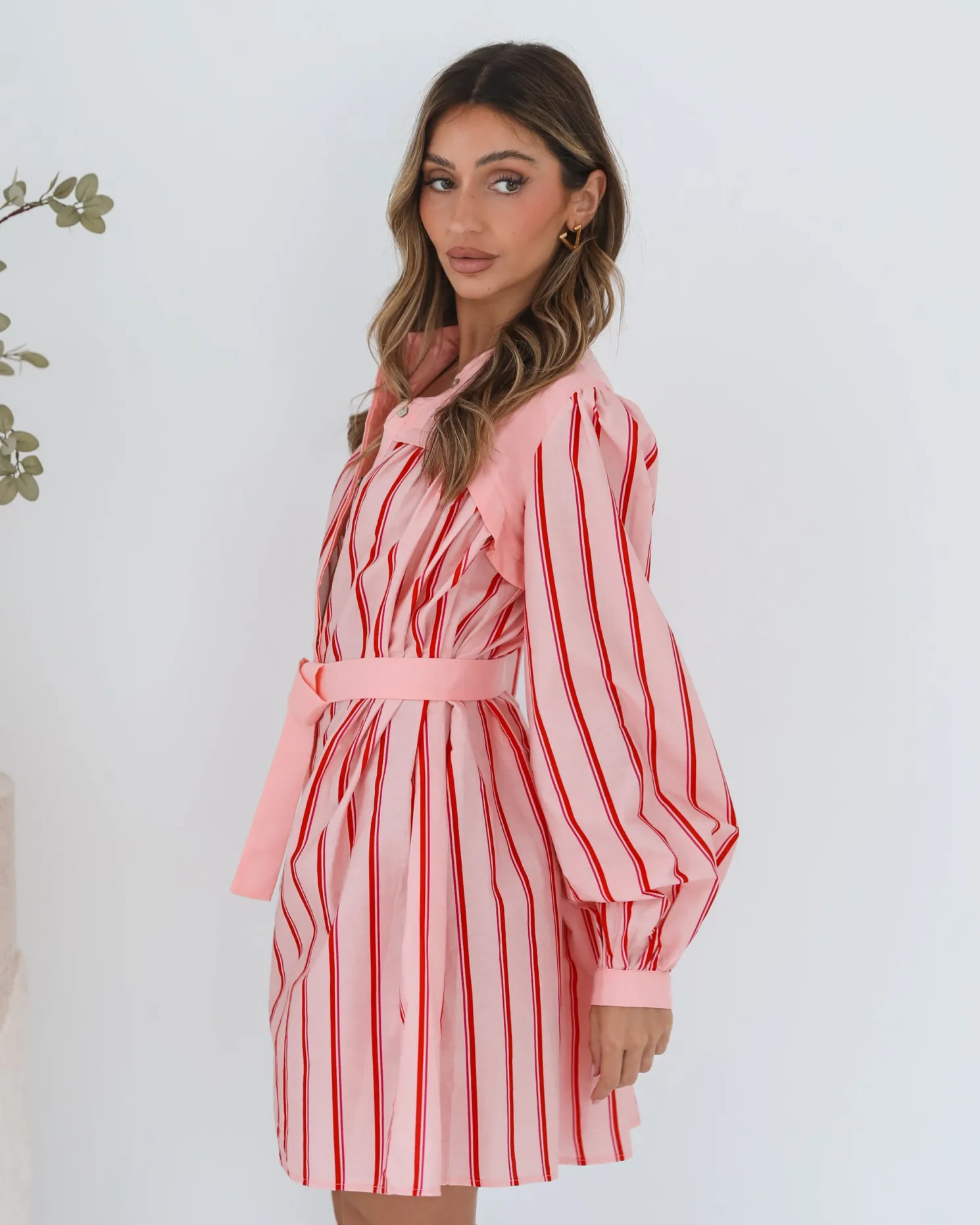 Josiane Dress - Pink Stripe