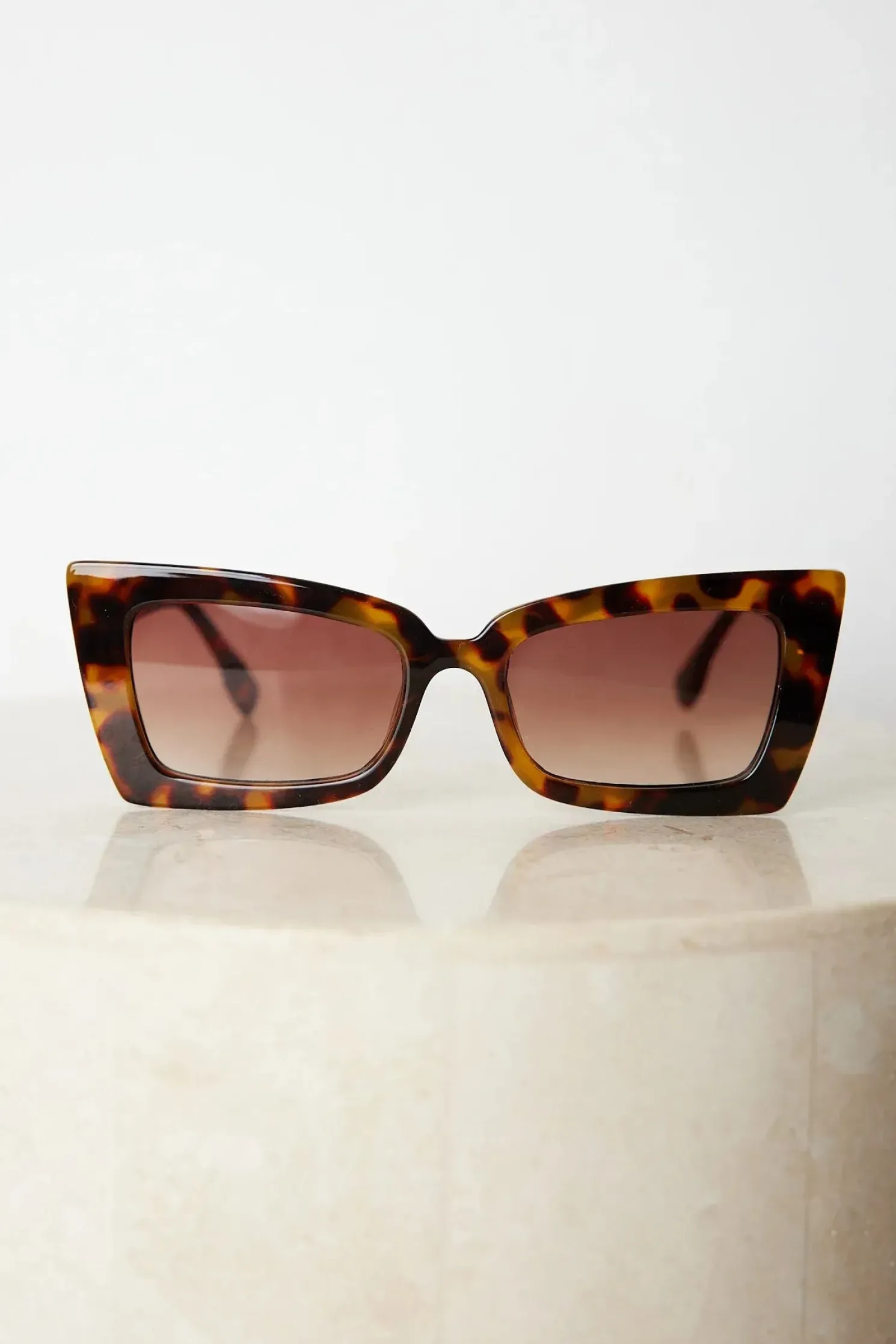 Landon | Tortoise